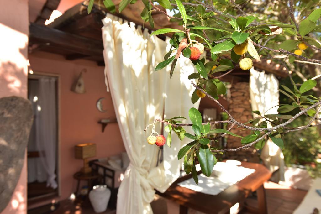 Bed & Breakfast Yin & Yang Сан Панталео Екстериор снимка